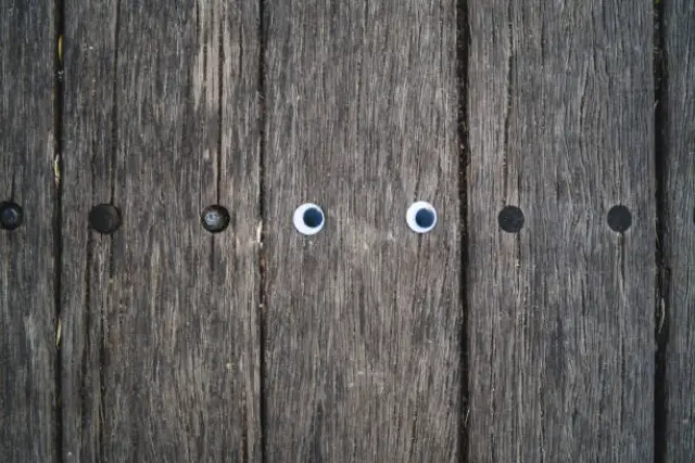 Wie man Schrauben in Holz versteckt 1