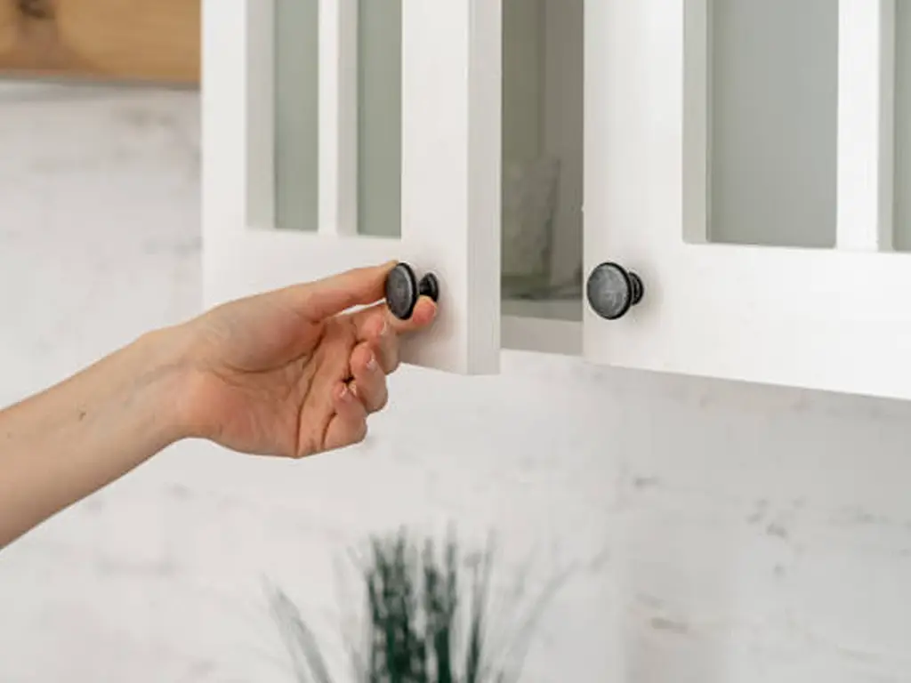 black cabinet hardware